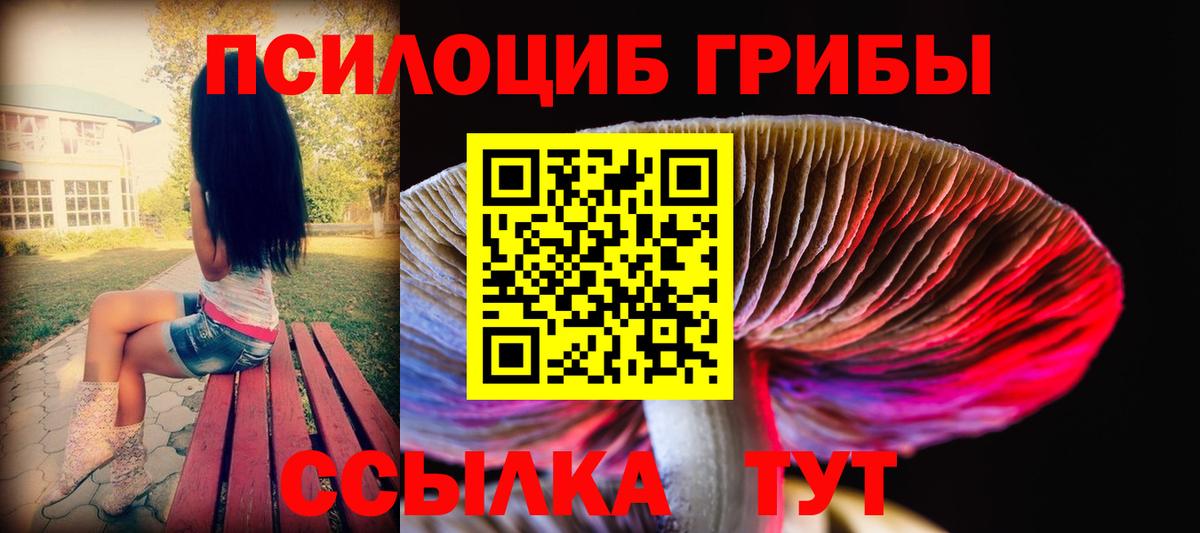 Галлюциногенные грибы мицелий  Вход с VPN  Углич 
