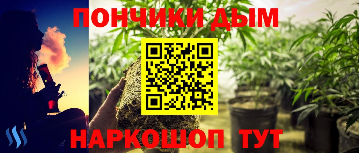 Углич  Каннабис Amnesia  Каннабис индика  Вход с VPN 